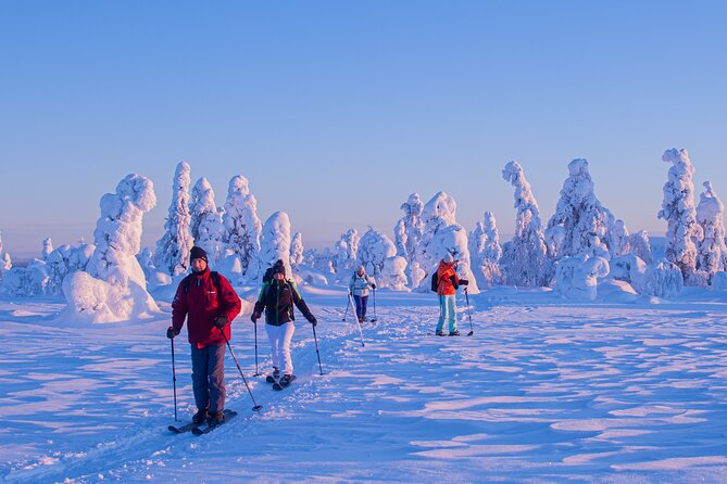 Full-Day Snowshoeing Adventure in Amethyst Mine Pyhä Luosto - Who Should Book This Snowshoe-and-Mine Day