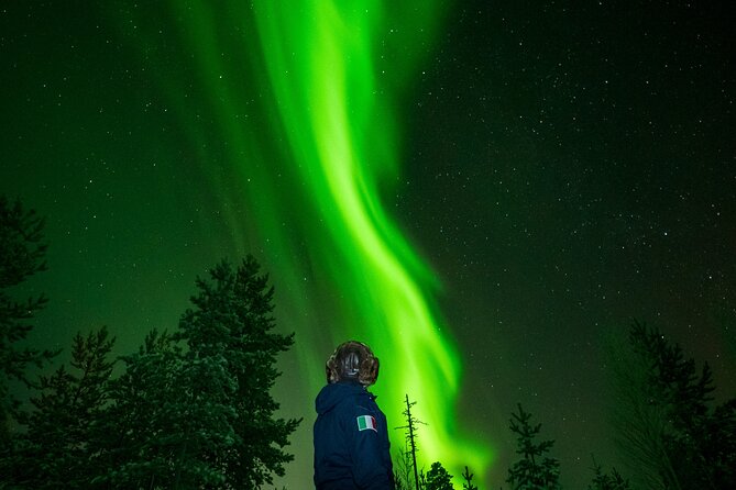 Go on a Northern Lights Photography Tour - Small Group by minivan - Key highlights you’ll feel right away