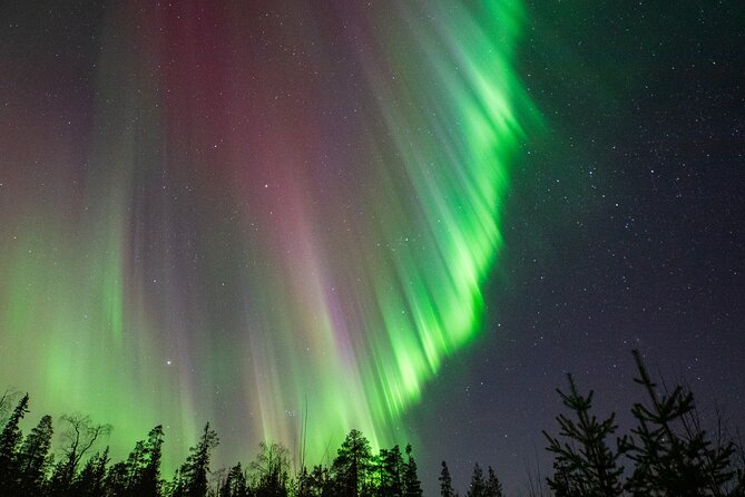 Go on a Northern Lights Photography Tour - Small Group by minivan - Should you book this tour?
