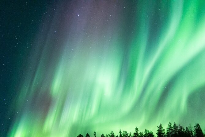 Guaranteed Aurora Hunting Tour from Rovaniemi with Local Guide - Small Group Comfort: Max 8 People, Personal Attention, Less Stress