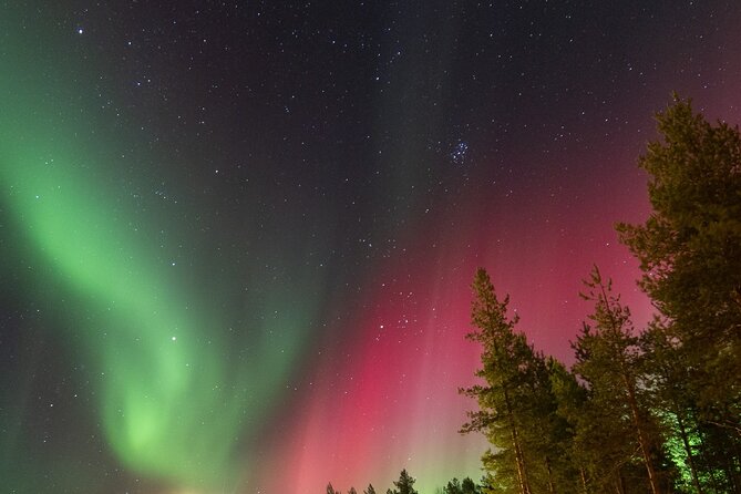 Guaranteed Aurora Hunting Tour from Rovaniemi with Local Guide - Price and Value: Why $191.88 Can Be Fair for a Guaranteed Aurora Night