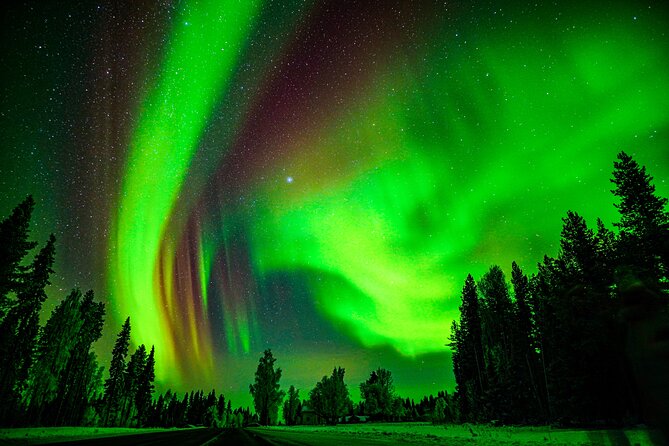 Guaranteed Northern Lights Hunting Adventure in Lapland - What the Evening Looks Like During Wilderness Driving
