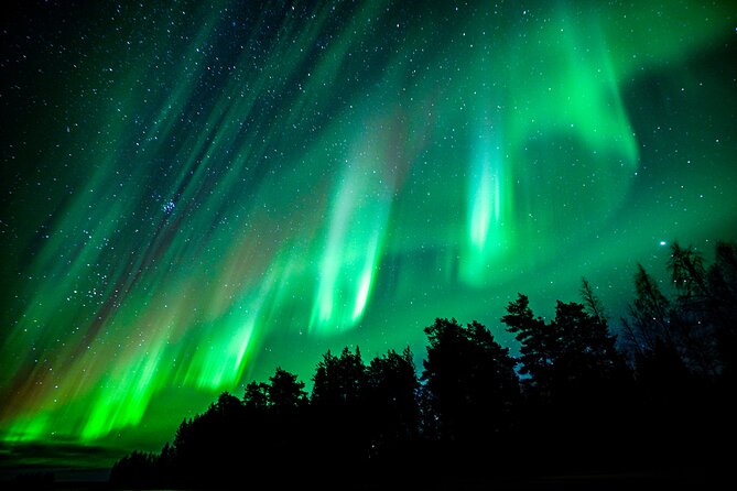 Guaranteed Northern Lights Hunting Adventure in Lapland - Aurora Photography: Let the Guide Do the Camera Work