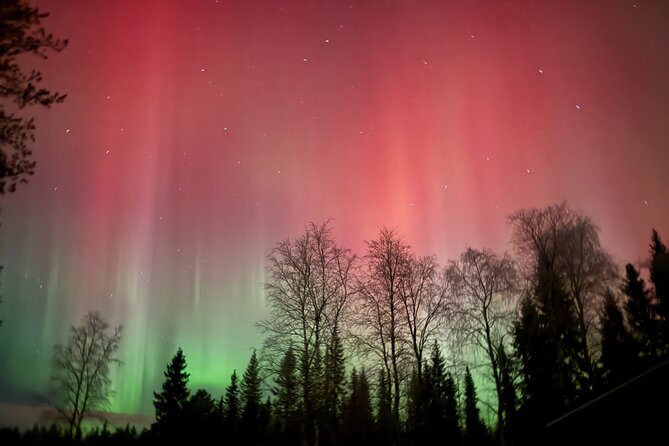Guaranteed Northern Lights Tour in Rovaniemi - What You’re Really Buying With a “Guaranteed” Aurora Tour
