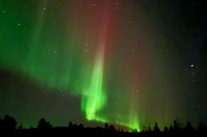 Guaranteed Northern Lights Tour in Rovaniemi - Duration Range: 3 to 9 Hours (Plan Your Day Like a Pro)