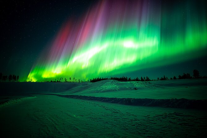 Guaranteed Northern Lights Tour with Photos - Group Size and the Human Touch: What You Should Expect at Night