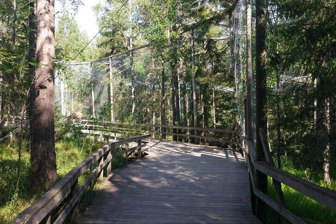 Guided Ranua Wildlife Park tour with Lunch, Small group adventure - Price and Value: What $174.21 Gets You Here