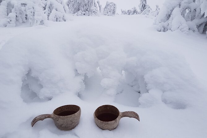Guided reindeer farm visit and one hour sledge safari - Price and value: why $156.03 can still feel fair