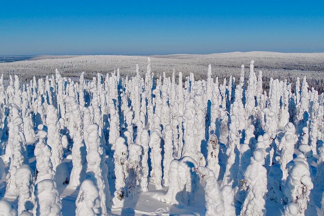 guiding services with local guides - Stop 2 in Lapland: guided time for real northern moments