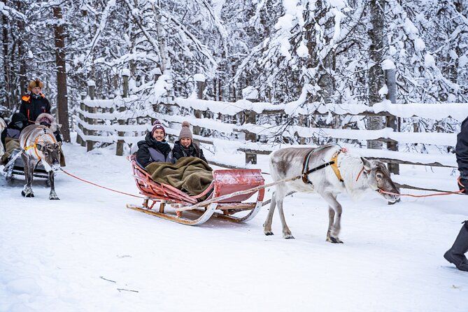 Half-Day Experience in Local reindeer farm in Lapland - The 2km sleigh ride: serene forest time, guided by the pros