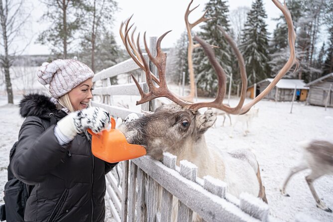 Half-Day Experience in Local reindeer farm in Lapland - Price and value: what you’re paying for at $205.15
