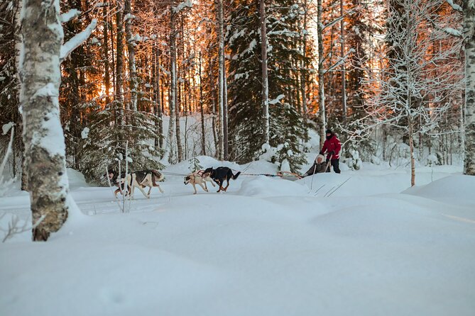 Half-Day Husky Safari and Salmon Ice Fishing Experience - If You Catch: Smoked Salmon On Site or Take It Home