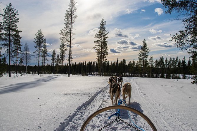 Half-Day Husky Safari and Salmon Ice Fishing Experience - After the Ride: Kota Warm-Up and Finnish Stories