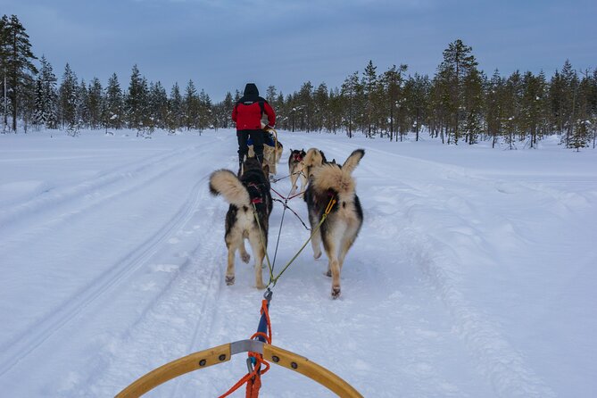 Half-Day Husky Safari and Salmon Ice Fishing Experience - Price and Timing: Is $264.91 Worth It?