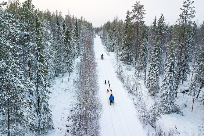 Half-Day Husky Safari and Salmon Ice Fishing Experience - Who Should Book This Husky + Ice-Fishing Tour?