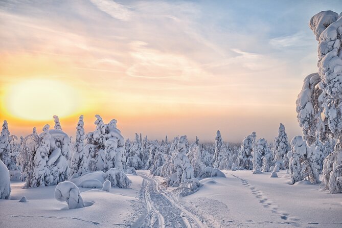 Hike to Frozen Waterfalls of Korouoma Including BBQ Lunch from Rovaniemi - Bonfire BBQ lunch and blueberry tea: the warm finish that makes the hike worth it