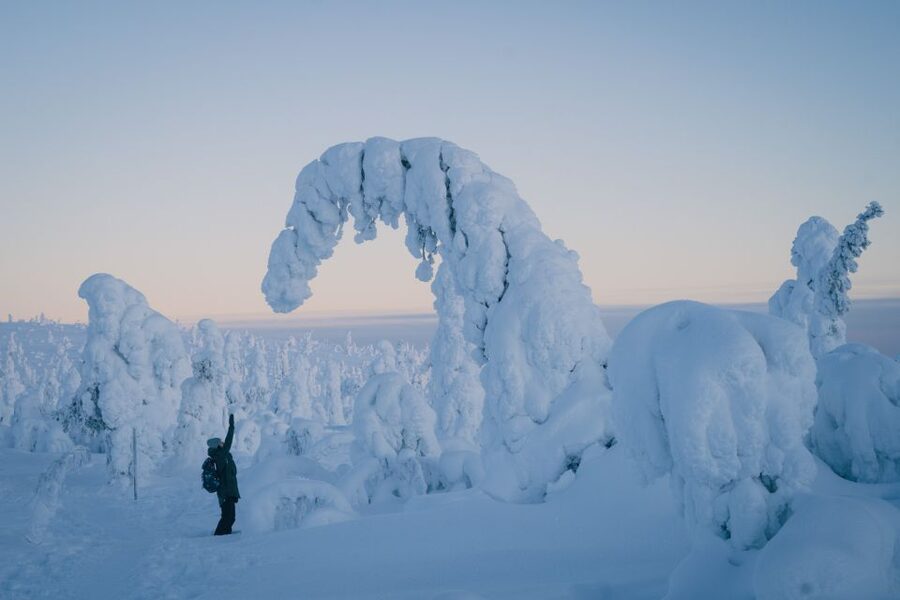 Hiking in Riisitunturi National Park with Photographer - Key highlights worth planning for