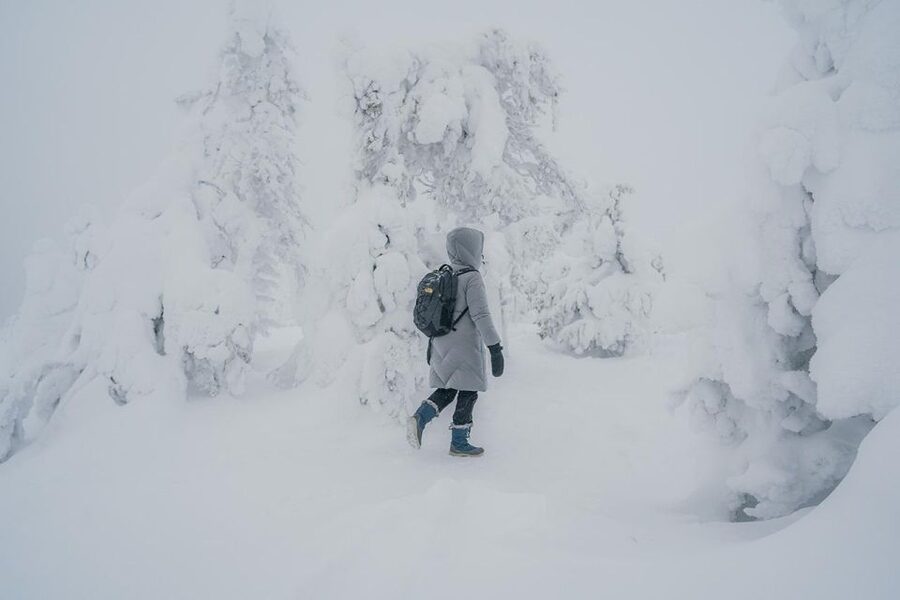 Hiking in Riisitunturi National Park with Photographer - Inside Riisitunturi: a winter hike that stays at an easy, good pace
