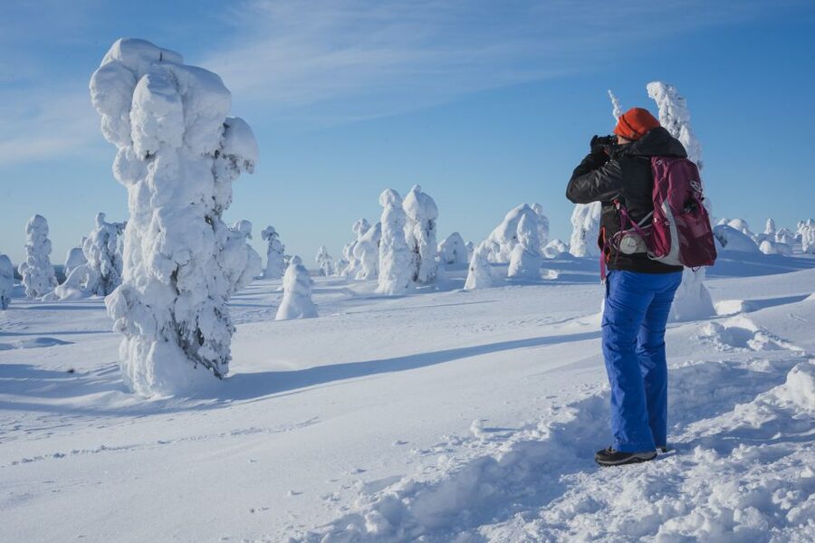 Hiking in Riisitunturi National Park with Photographer - Guides and languages: Spanish and English support, with a friendly edge