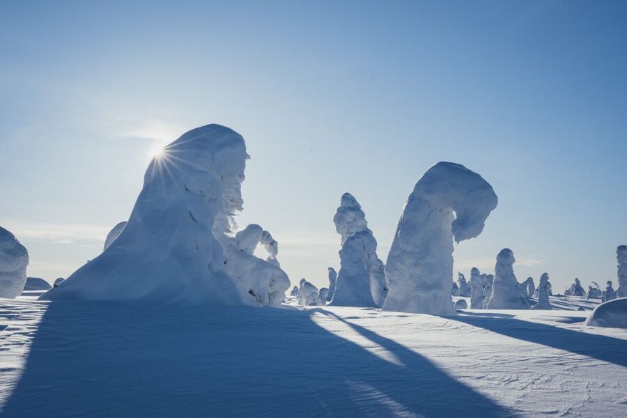 Hiking in Riisitunturi National Park with Photographer - Price and value: is $222 worth it?