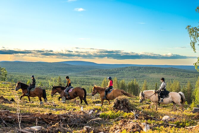 Horse Ride to the Hill Activity - The Route to Laenlammen Fell: Walking Pace, Real Forest, and Lake Views