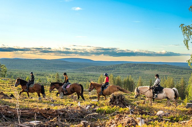 Horse Ride to the Hill Activity - What the Guide Actually Does: Stories That Turn the Trail Into Meaning