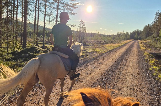 Horse Ride to the Hill Activity - What to Wear and Bring in Lapland (So You Stay Comfortable)