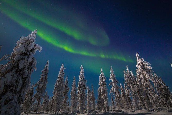 Hunting Northern Lights with Husky - Rovaniemi at dusk: the meeting point and the rhythm of the night