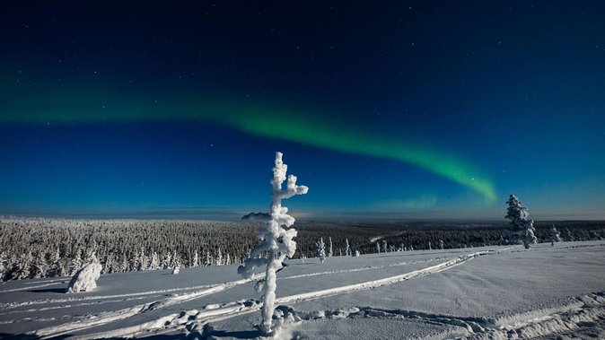 Hunting Northern Lights with Husky - Northern Lights hunting: how the search works when the sky plays hard to get
