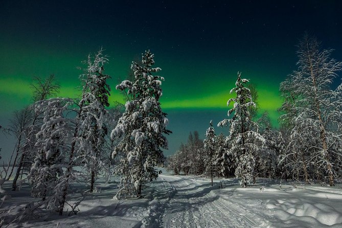 Hunting Northern Lights with Husky - Who this tour suits best (and who should think twice)