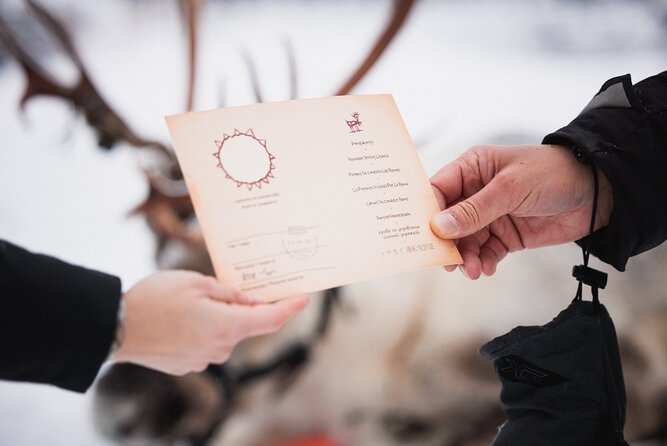 Husky and Reindeer Experience - Price and value: when $143 feels fair and when it won’t