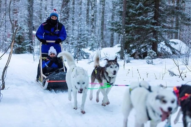 Husky safari - Where the Safari Starts in Keminmaa, Finland