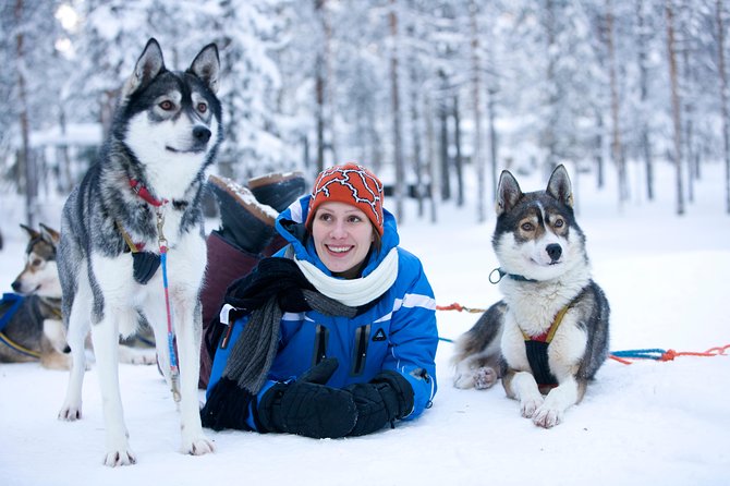 Husky Safari from Rovaniemi Including a Husky Sled Ride - Key things to know before you book