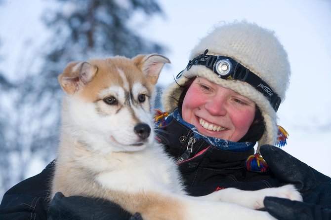 Husky Safari from Rovaniemi Including a Husky Sled Ride - How this 20- or 30-Minute Husky Safari fits Rovaniemi