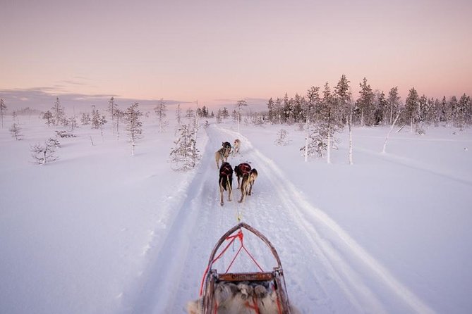 Ice Fishing and Husky - Key Highlights You’ll Actually Feel During This 4.5-Hour Day
