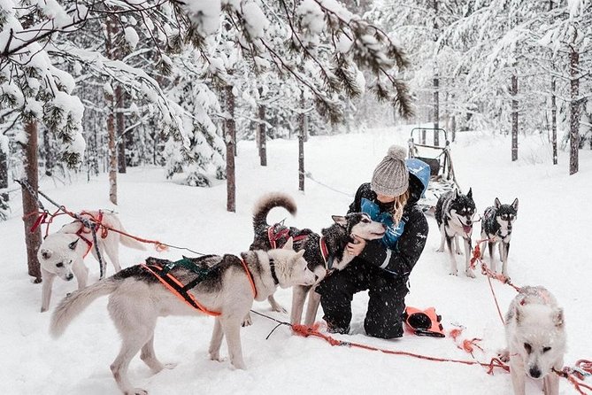 Ice Fishing and Husky - Husky Time: What You’ll Love (and What to Expect on Ride Length)