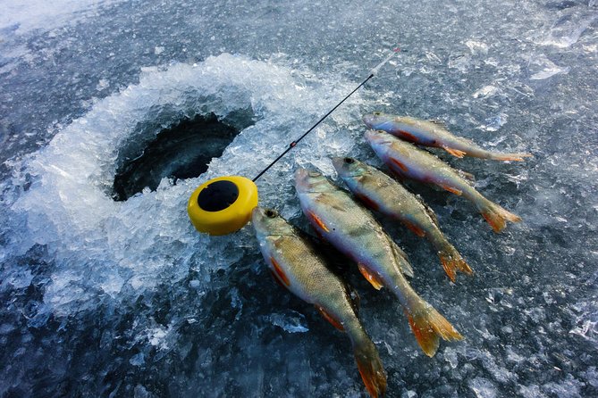 Ice Fishing and Husky - Ice Fishing on the Frozen Lake: Where the Guide Matters