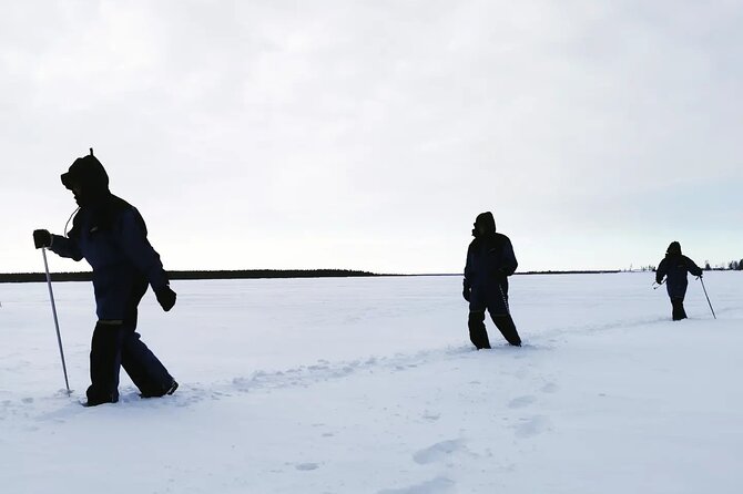 Icetrek to Old Kemi - Price and Value: Is $58.38 Worth It in Kemi?