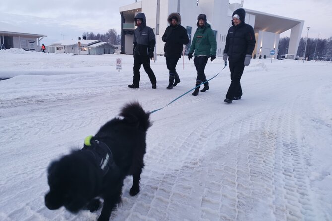 Icetrek to Old Kemi - Weather, Safety, and Your Best Chance of a Good Walk