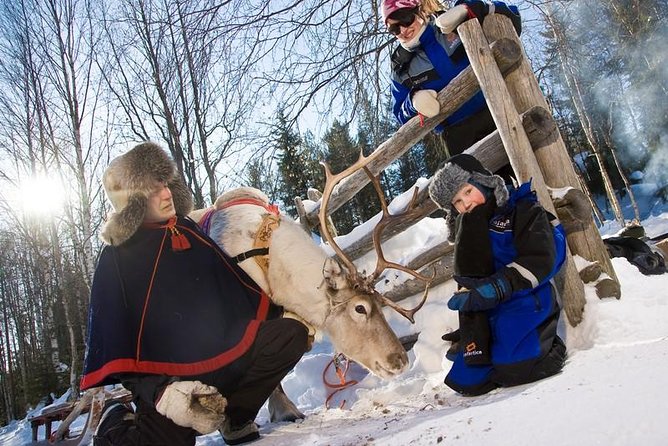 In Pursuit of Reindeer - Snowmobile safari to reindeer farm in Rovaniemi - Key highlights you’ll actually feel