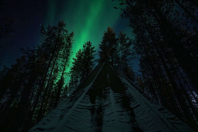 Ivalo: Aurora Hunting with Reindeer - Tips to Make the Most of Your 8 PM Slot