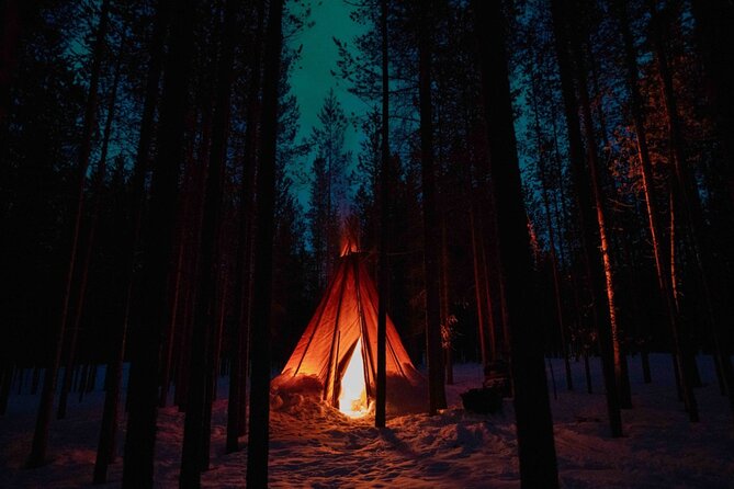 Ivalo: Aurora Hunting with Reindeer - Roasting Reindeer Sausages by Open Fire