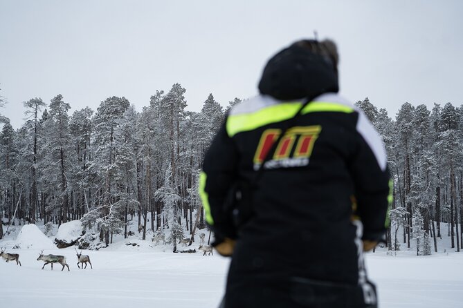 Ivalo: Reindeer herd and fishing experience - The snowmobile ride to the herd: fast, fun, and practical