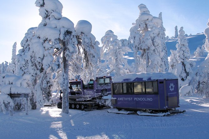 Jewels Of Lapland: Visit to Amethyst Mine in Luosto - Europe’s only working amethyst mine near Luosto