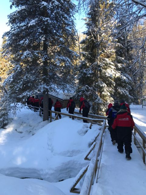 Korouoma Canyon and Frozen Waterfalls - The guide factor: Leo’s example, and what you should look for