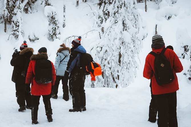 Korouoma Canyon Frozen Waterfalls - Winter gear included: comfort is part of the safety plan