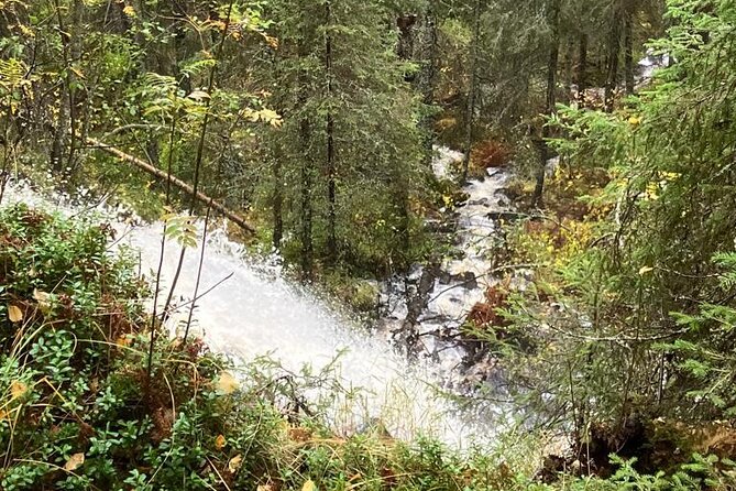 Korouoma Canyon: Frozen Waterfalls Hike & BBQ Experience - The three frozen waterfalls you’ll hunt for: names, nicknames, and best expectations
