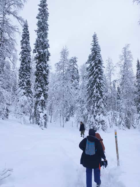 Korouoma Canyon Frozen Waterfalls Hike & Private Teepee BBQ - Ice formations and geology: what frozen waterfalls teach you