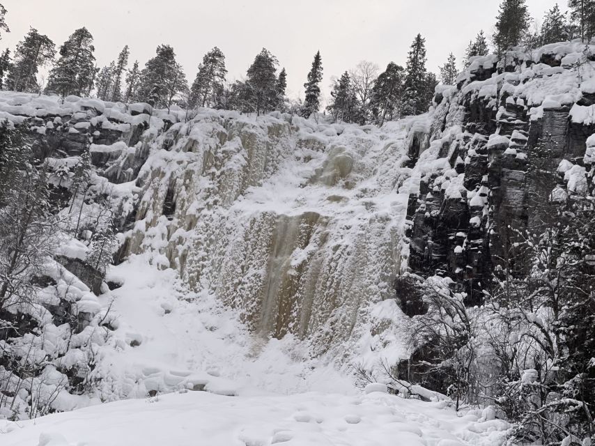 Korouoma Canyon Frozen Waterfalls Hike & Private Teepee BBQ - Wildlife spotting in Lapland: chances without the chase