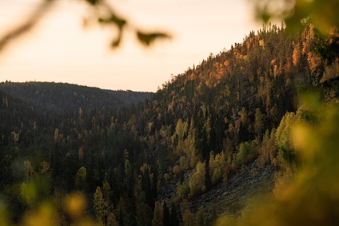 Korouoma canyon national park & frozen waterfalls with BBQ - Group size and guide style: why it feels better than a big bus day